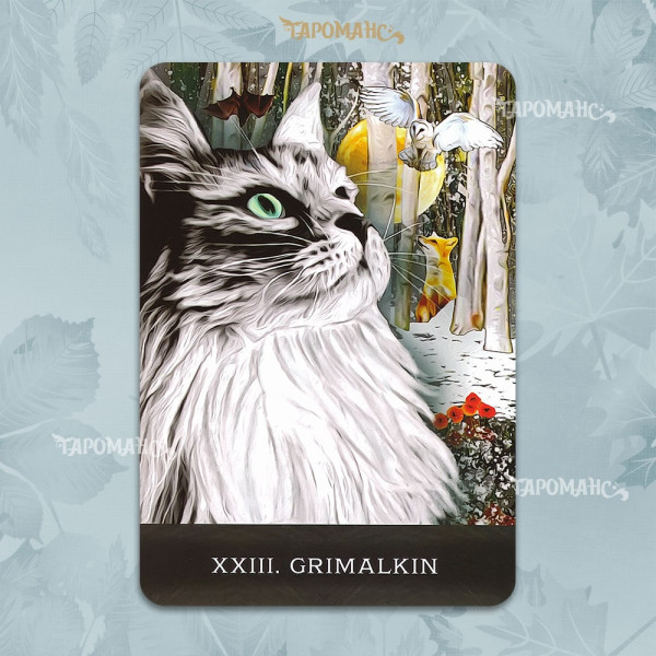 ТАРО ДОПИТЛИВИХ КОТІВ ГРІМАЛКІНА (GRIMALKIN'S CURIOUS CATS TAROT)