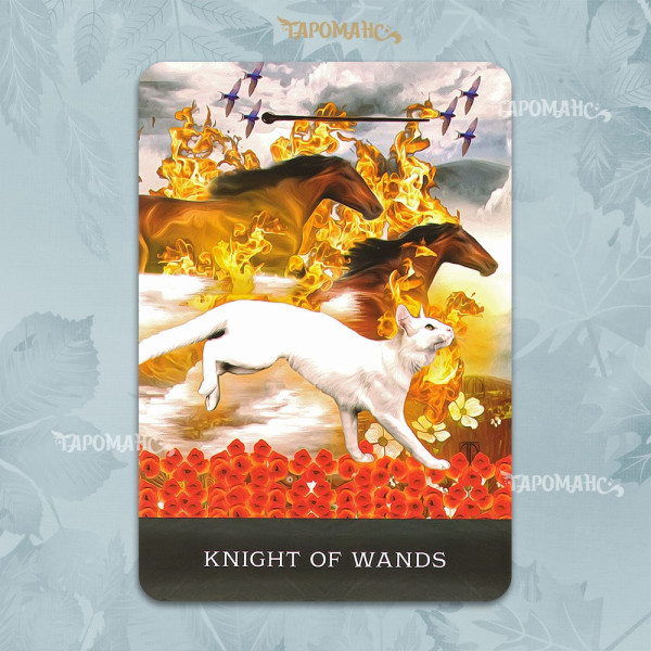 ТАРО ДОПИТЛИВИХ КОТІВ ГРІМАЛКІНА (GRIMALKIN'S CURIOUS CATS TAROT)