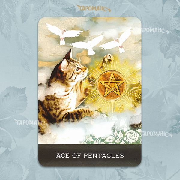 ТАРО ДОПИТЛИВИХ КОТІВ ГРІМАЛКІНА (GRIMALKIN'S CURIOUS CATS TAROT)