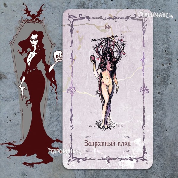 ТАРО ТЕНЕЙ «СИРЕНЕВАЯ НОЧЬ» ТАРОМАНС (TAROT OF SHADOWS "PURPLE NIGHT" TAROMANCE)