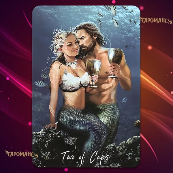 ТАРО МУДРІСТЬ ЕЛЕМЕНТАЛІВ (THE ELEMENTAL WISDOM TAROT)