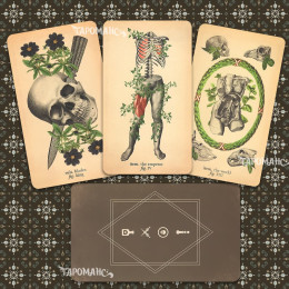 ТАРО АНТИКВАРНОЇ АНАТОМІЇ (ANTIQUE ANATOMY TAROT)