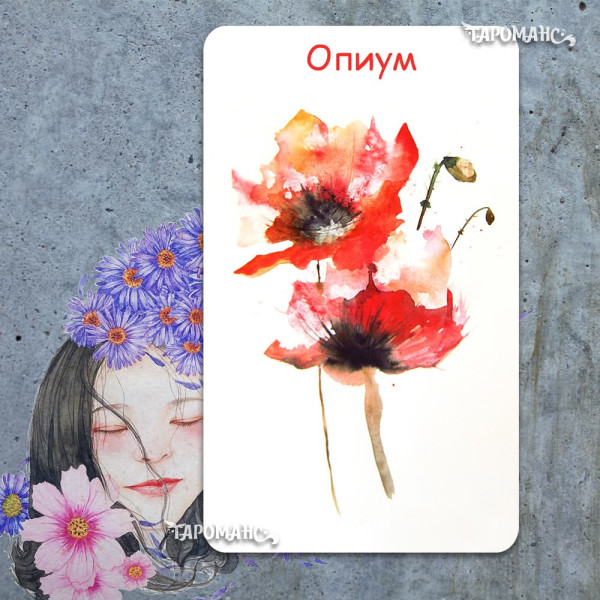 АВТОРСКИЙ ОРАКУЛ НАДЕЖДЫ (NADEZHDA’S ORACLE)