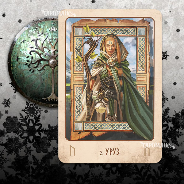 ВИКИНГИ. РУНИЧЕСКИЙ ОРАКУЛ (VIKING ORACLE CARDS)