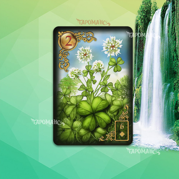 ЗОЛОТІ МРІЇ ЛЕНОРМАН (GILDED REVERIE LENORMAND)